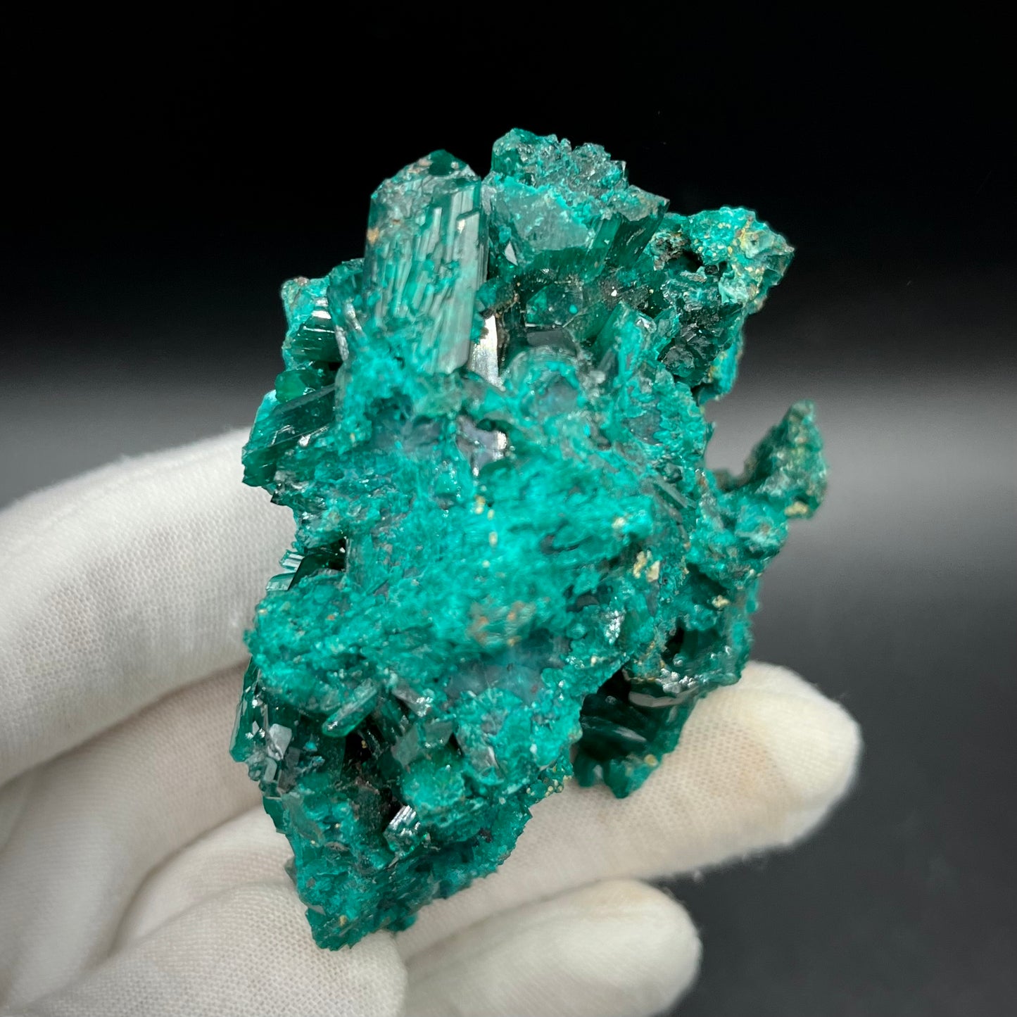 Natural Namibian Dioptase Crystal - Collector-Grade Specimen