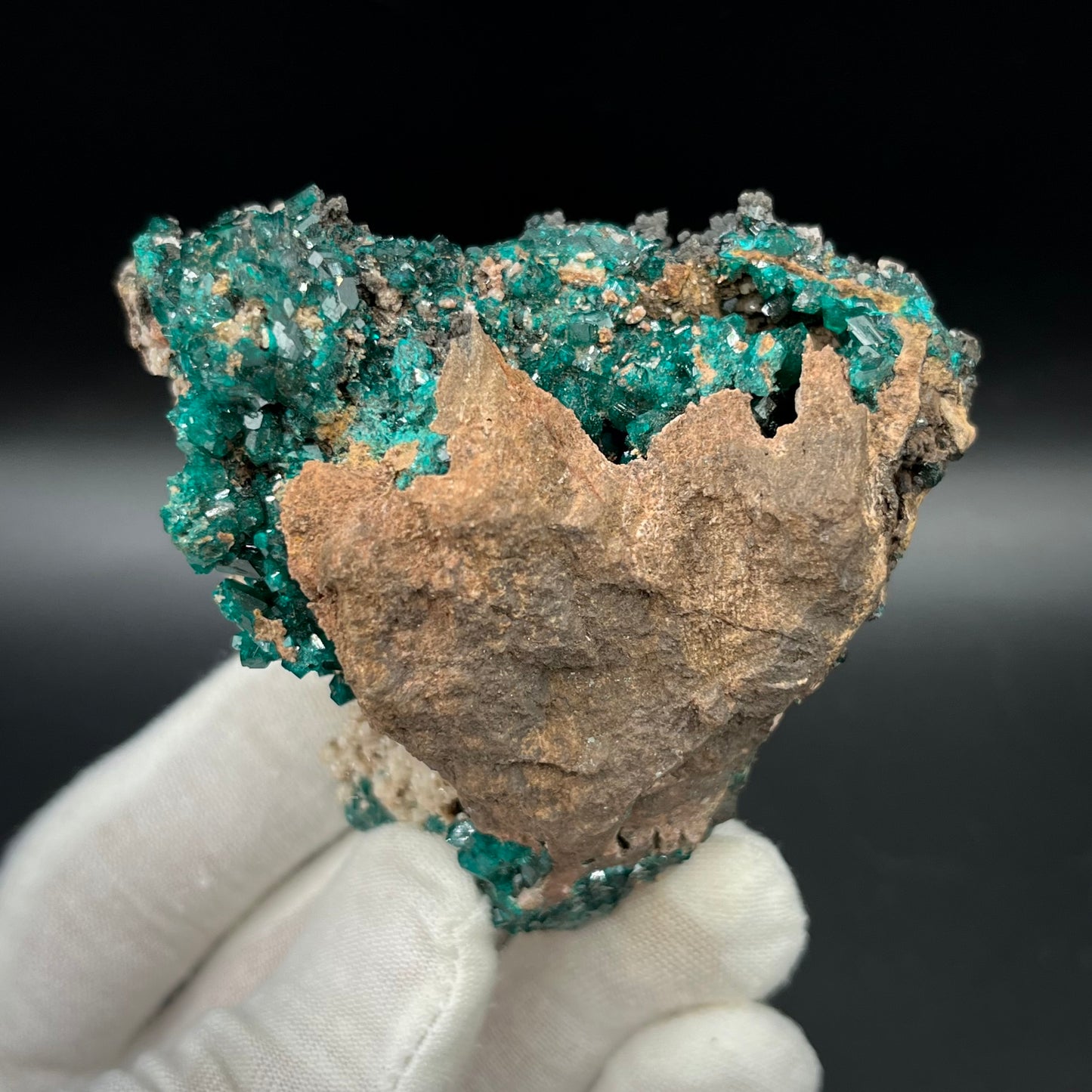 Natural Namibian Dioptase Crystal - Collector-Grade Specimen