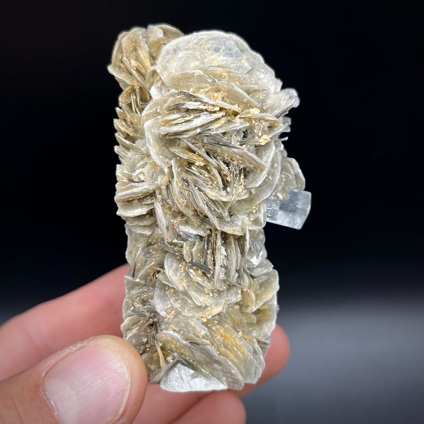 1115-1 Aquamarine Specimen