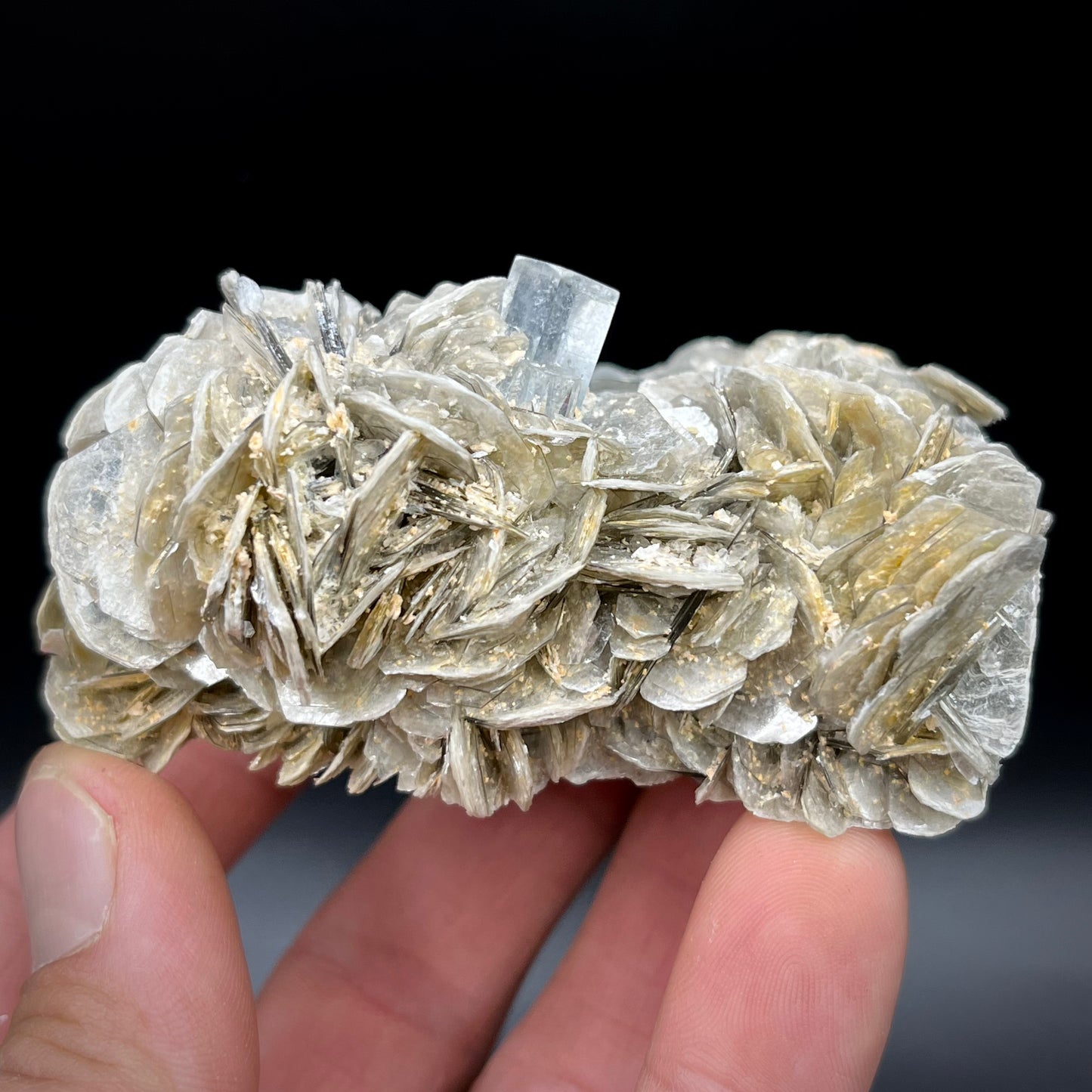 1115-1 Aquamarine Specimen