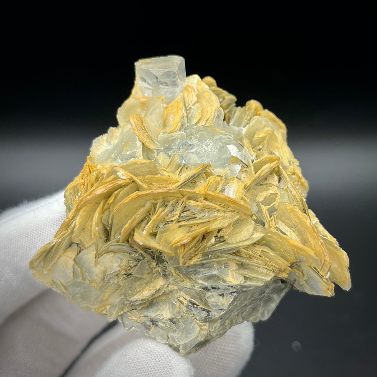 Aquamarine on Matrix