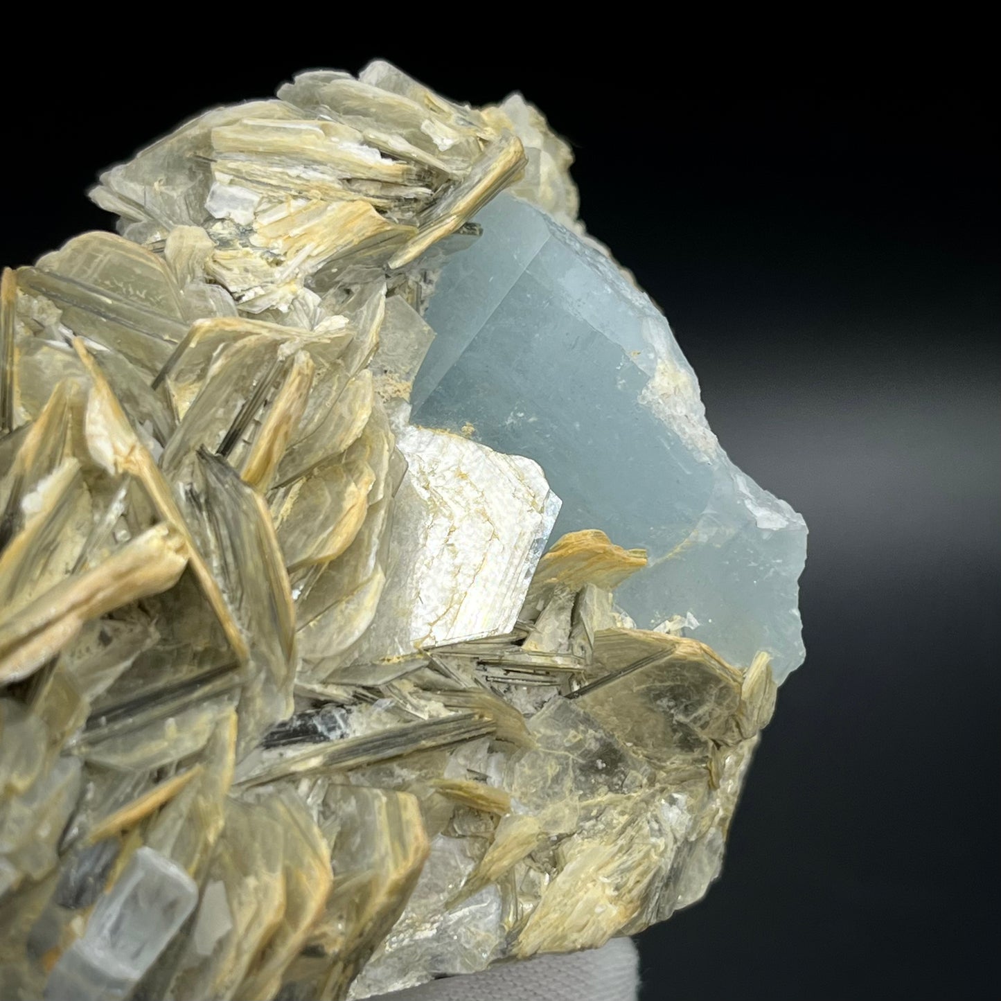Aquamarine on Matrix