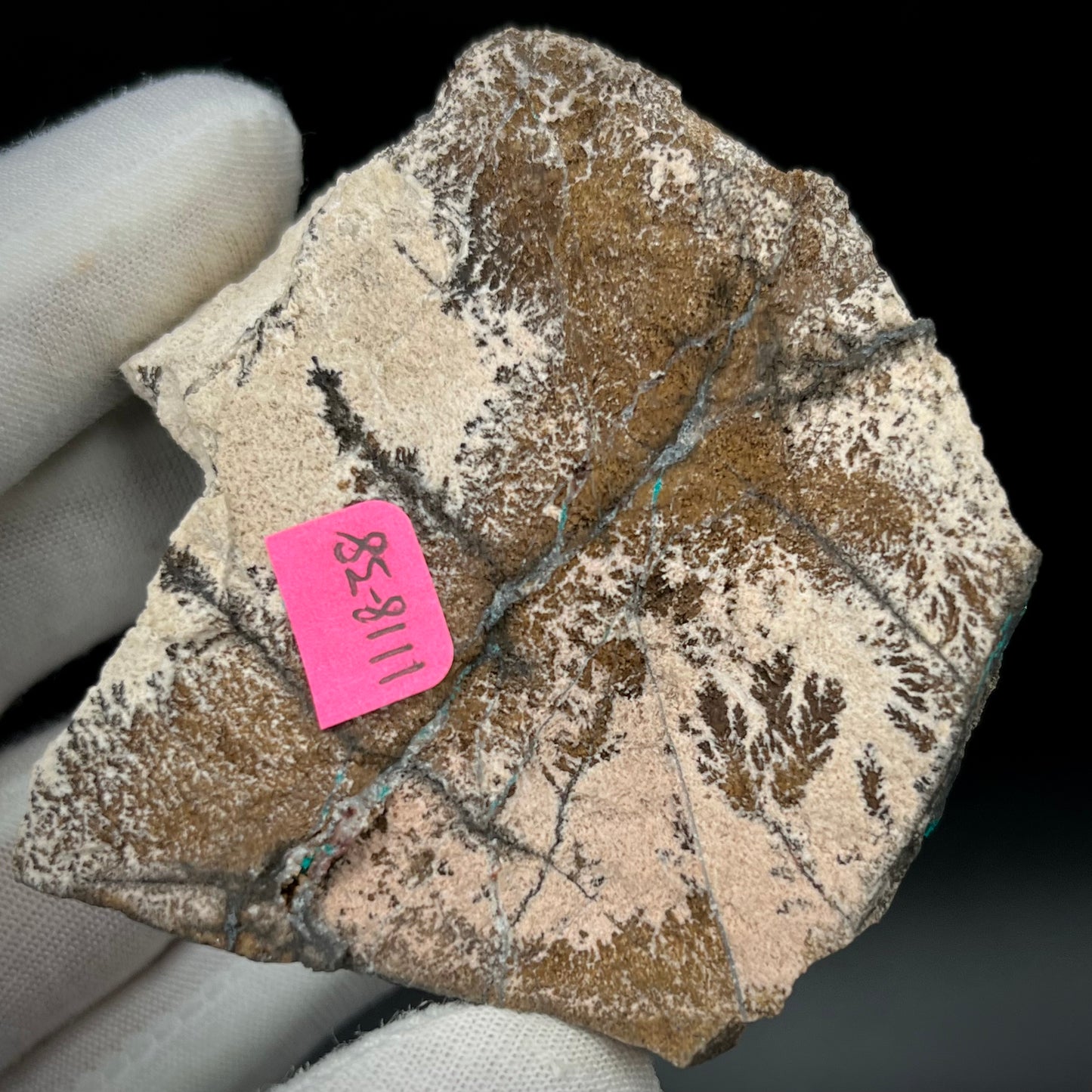 Natural Namibian Dioptase Crystal - Collector-Grade Specimen