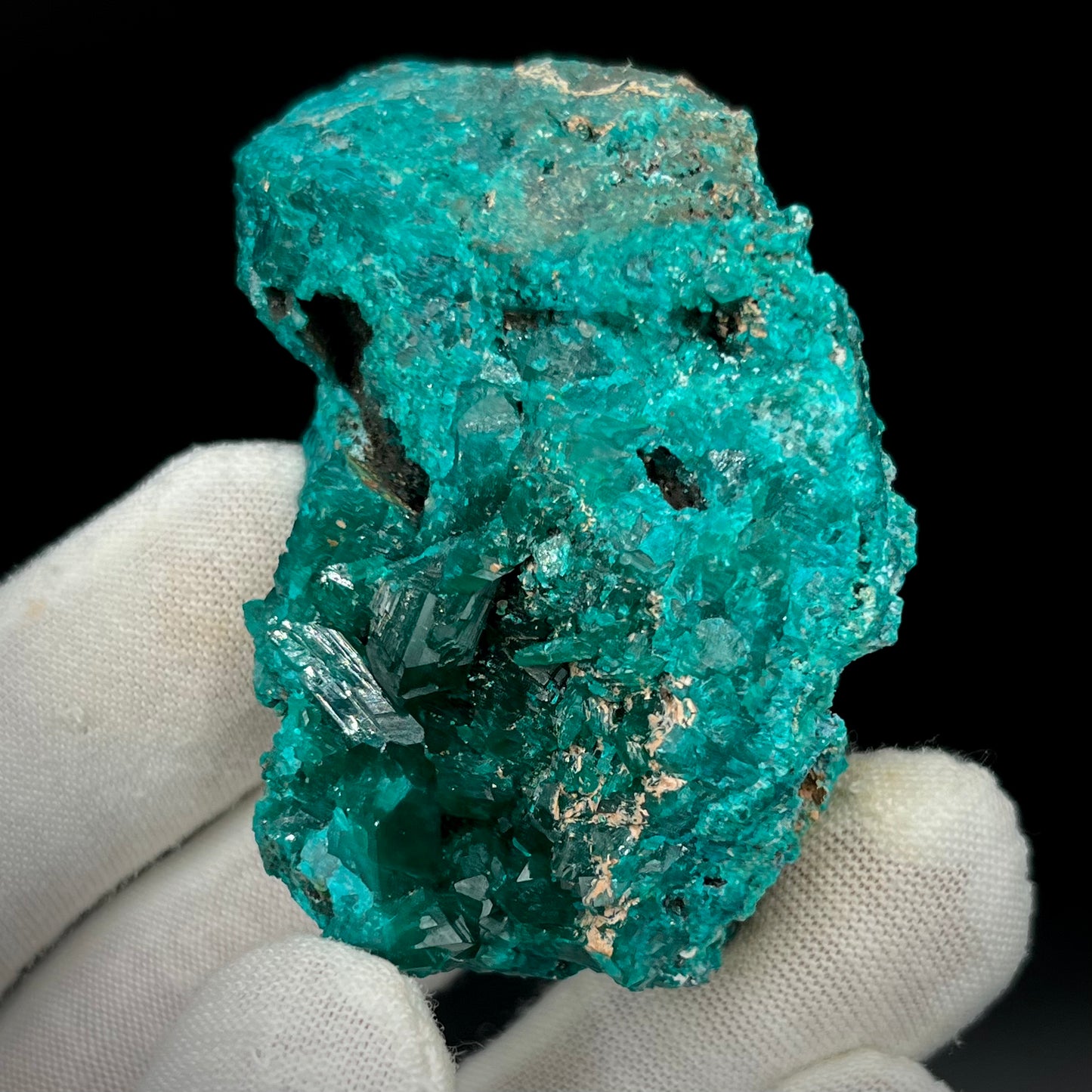 Natural Namibian Dioptase Crystal - Collector-Grade Specimen