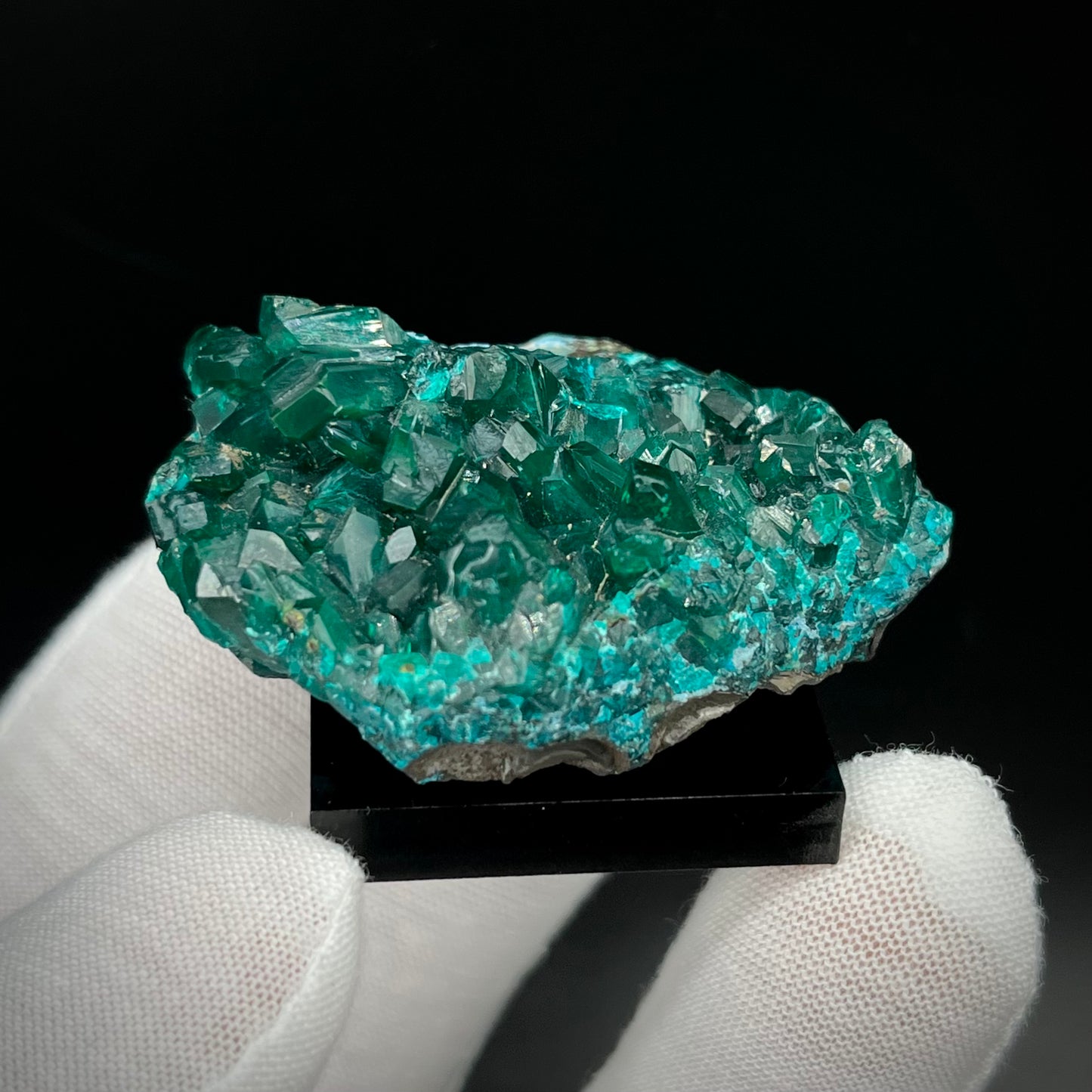 Natural Namibian Dioptase Crystal - Collector-Grade Specimen