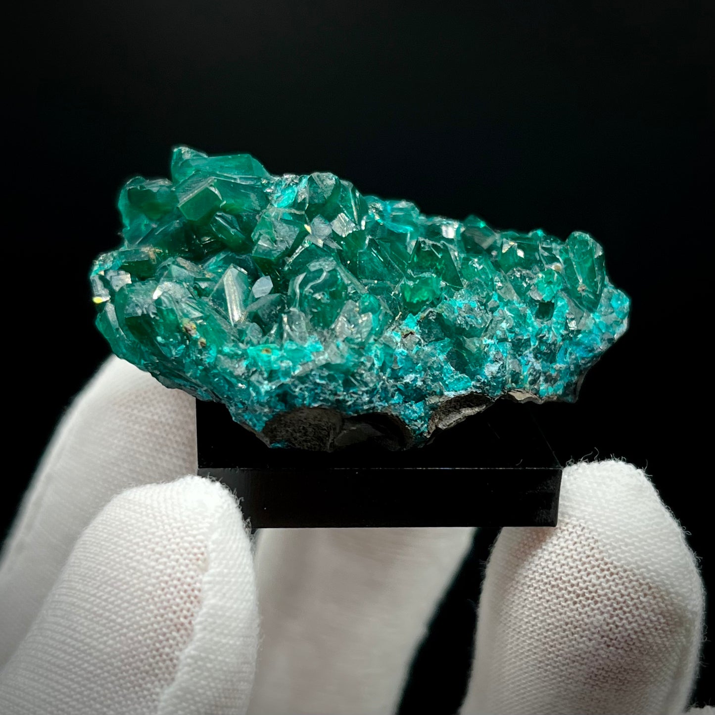 Natural Namibian Dioptase Crystal - Collector-Grade Specimen