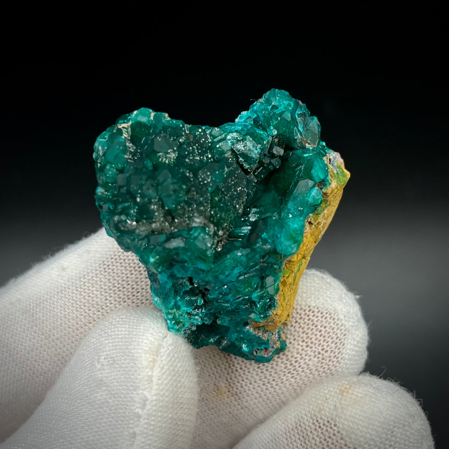 Natural Namibian Dioptase Crystal - Collector-Grade Specimen