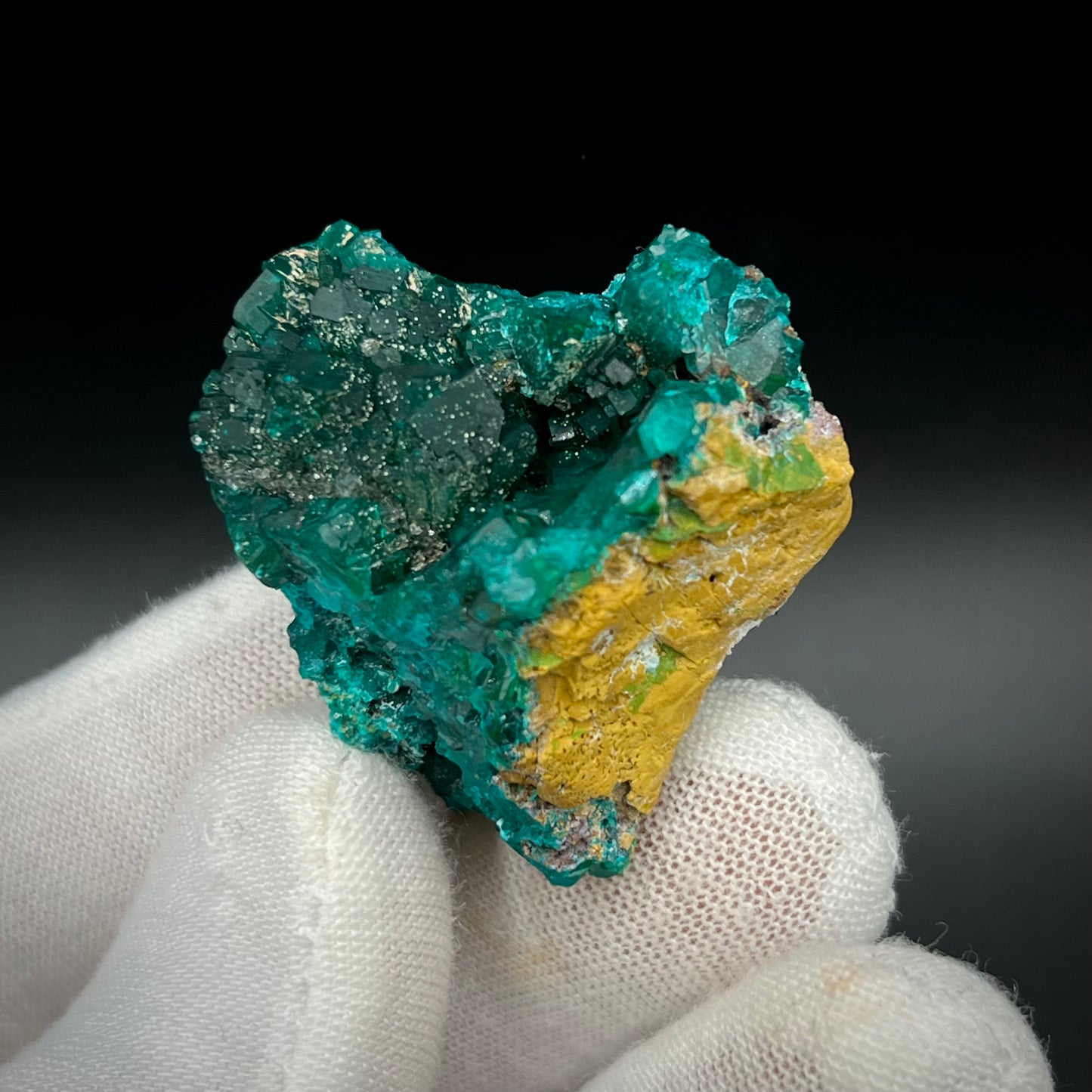 Natural Namibian Dioptase Crystal - Collector-Grade Specimen