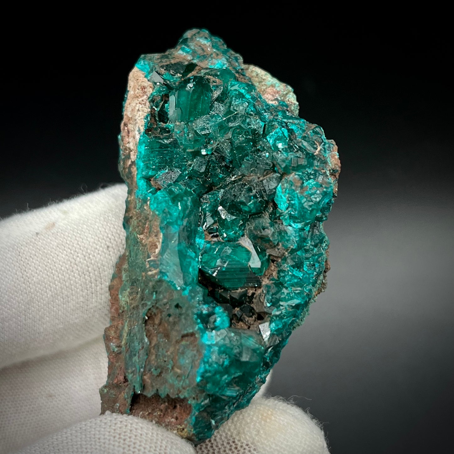 Natural Namibian Dioptase Crystal - Collector-Grade Specimen