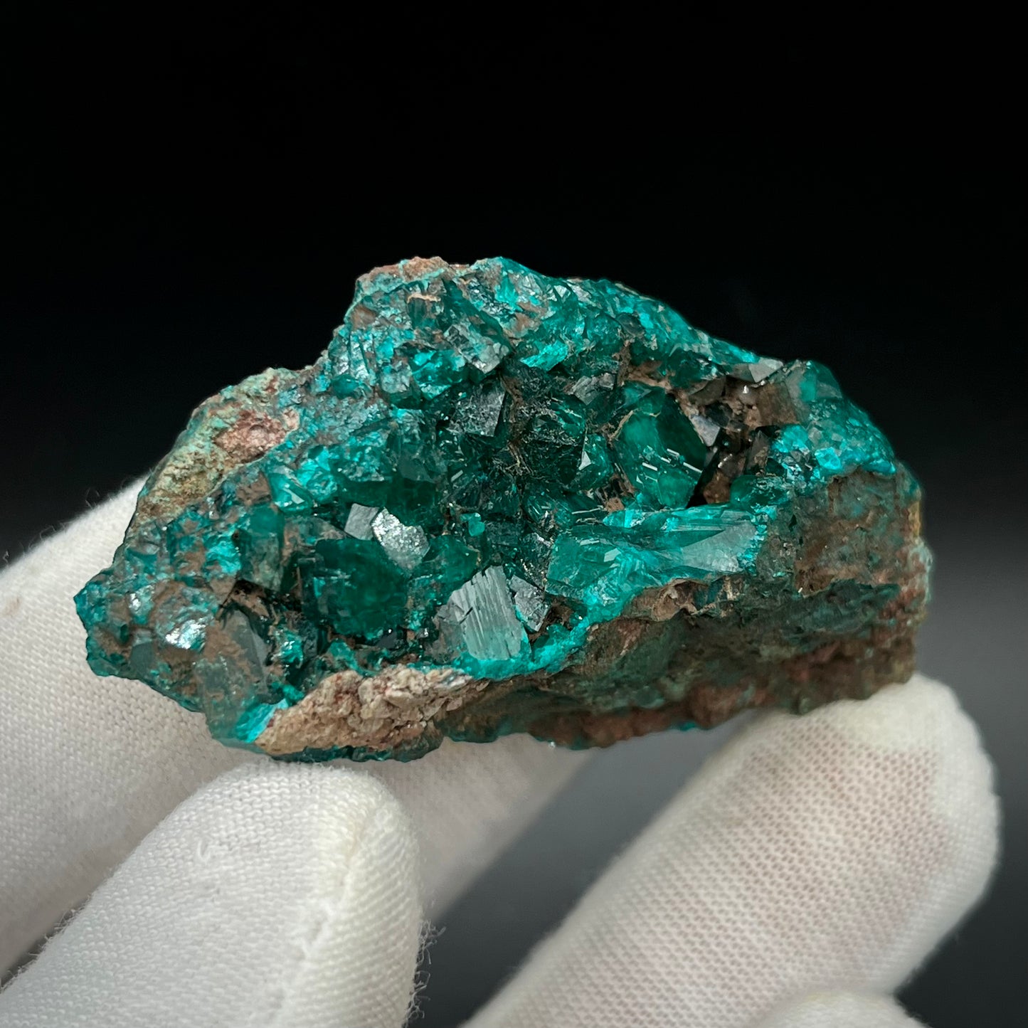 Natural Namibian Dioptase Crystal - Collector-Grade Specimen