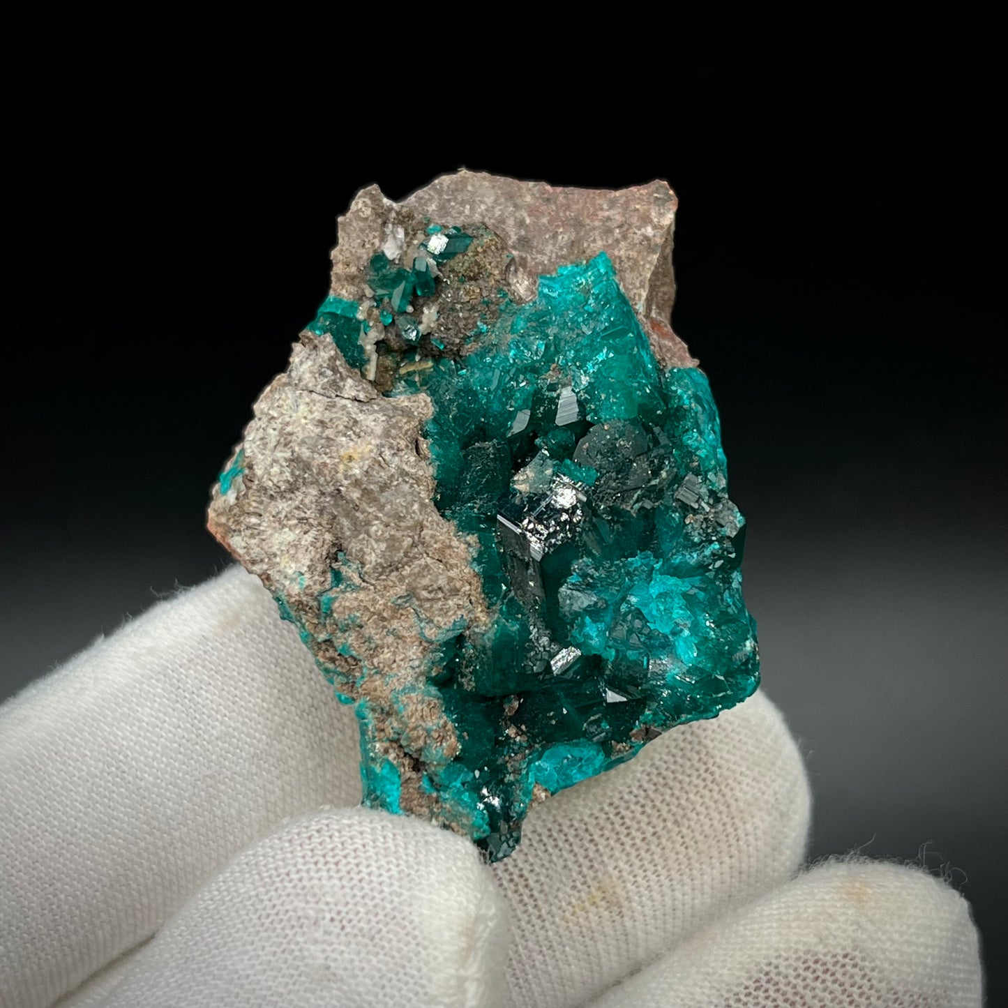 Natural Namibian Dioptase Crystal - Collector-Grade Specimen