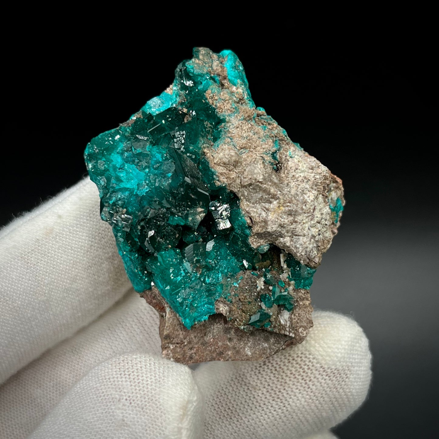Natural Namibian Dioptase Crystal - Collector-Grade Specimen