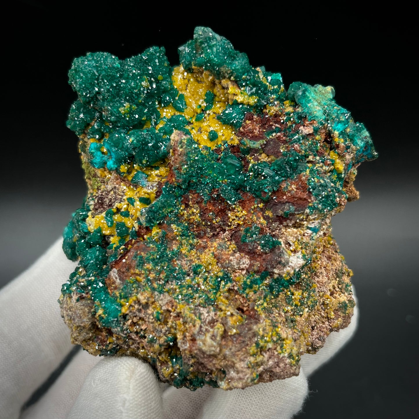 Natural Namibian Dioptase Crystal - Collector-Grade Specimen