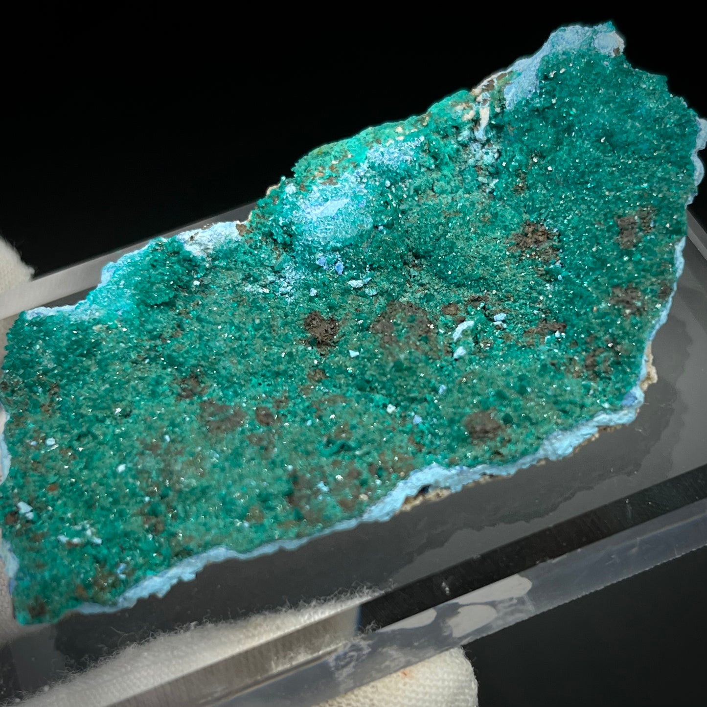 Natural Namibian Dioptase Crystal - Collector-Grade Specimen