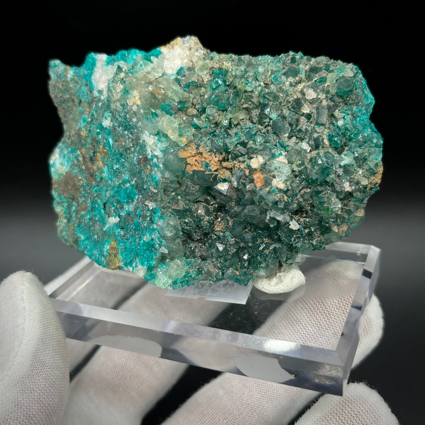 Natural Namibian Dioptase Crystal - Collector-Grade Specimen