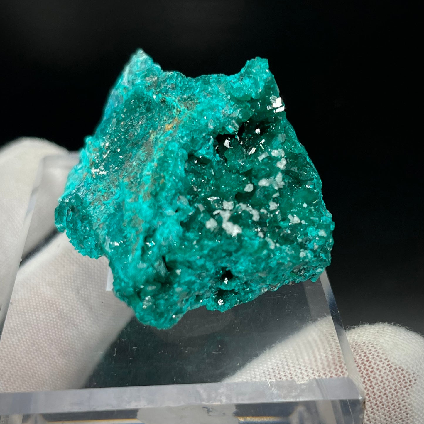 Natural Namibian Dioptase Crystal - Collector-Grade Specimen
