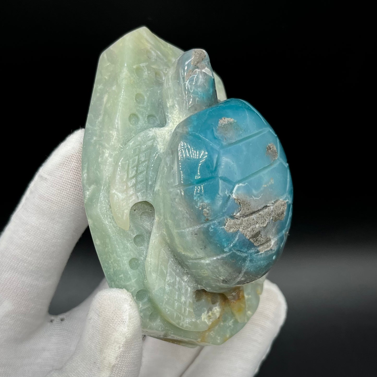 Amazonite Sea Creatures