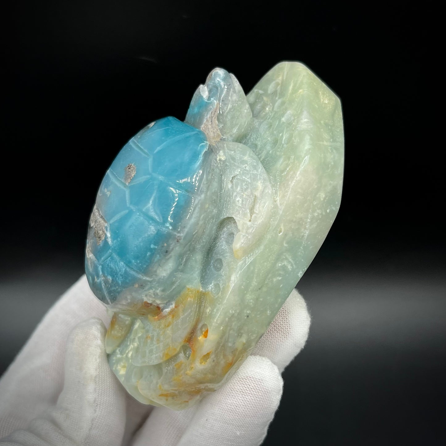 Amazonite Sea Creatures