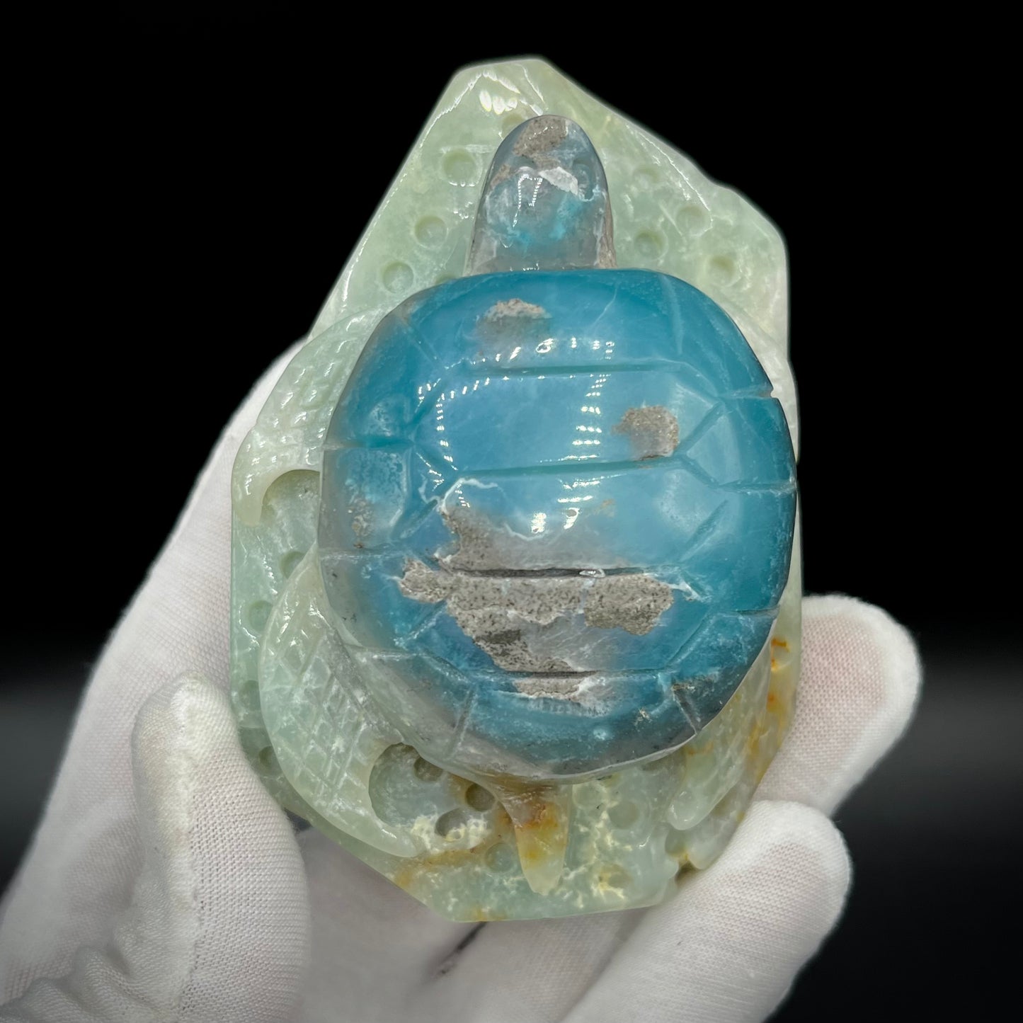 Amazonite Sea Creatures