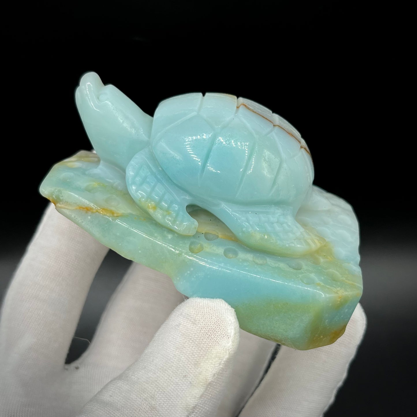 Amazonite Sea Creatures
