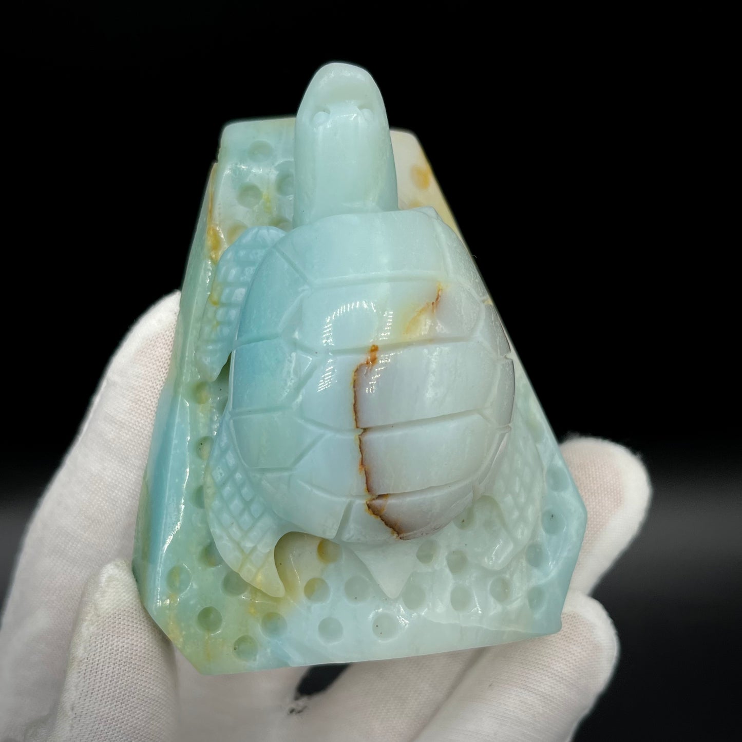 Amazonite Sea Creatures