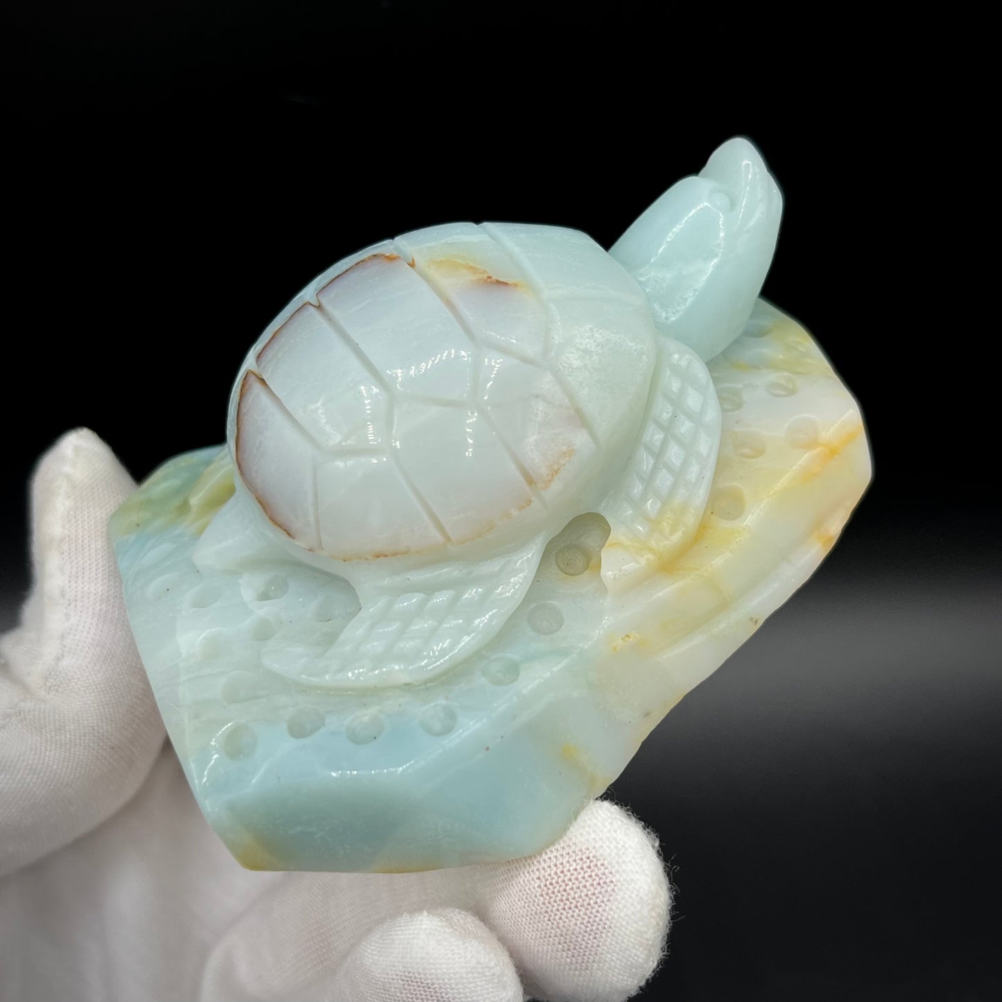Amazonite Sea Creatures