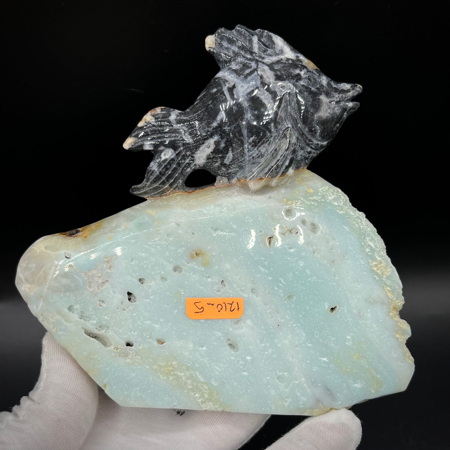 Amazonite Sea Creatures