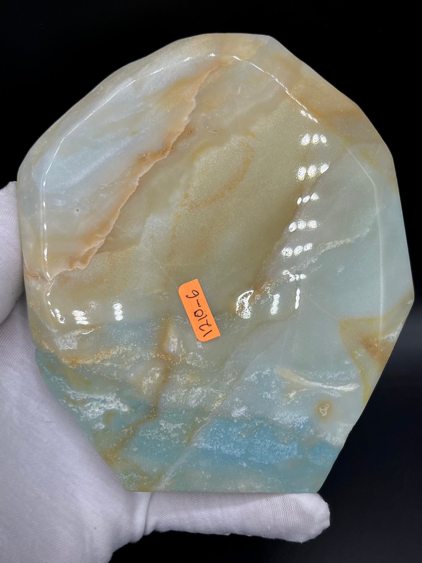 Amazonite Sea Creatures