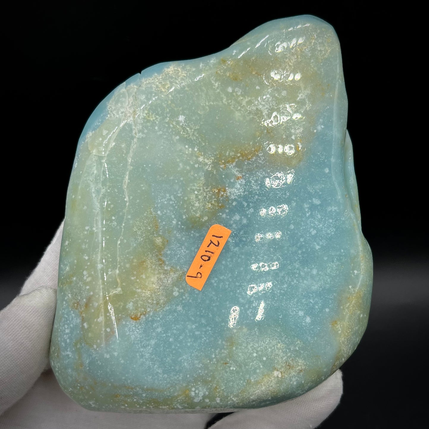 Amazonite Sea Creatures