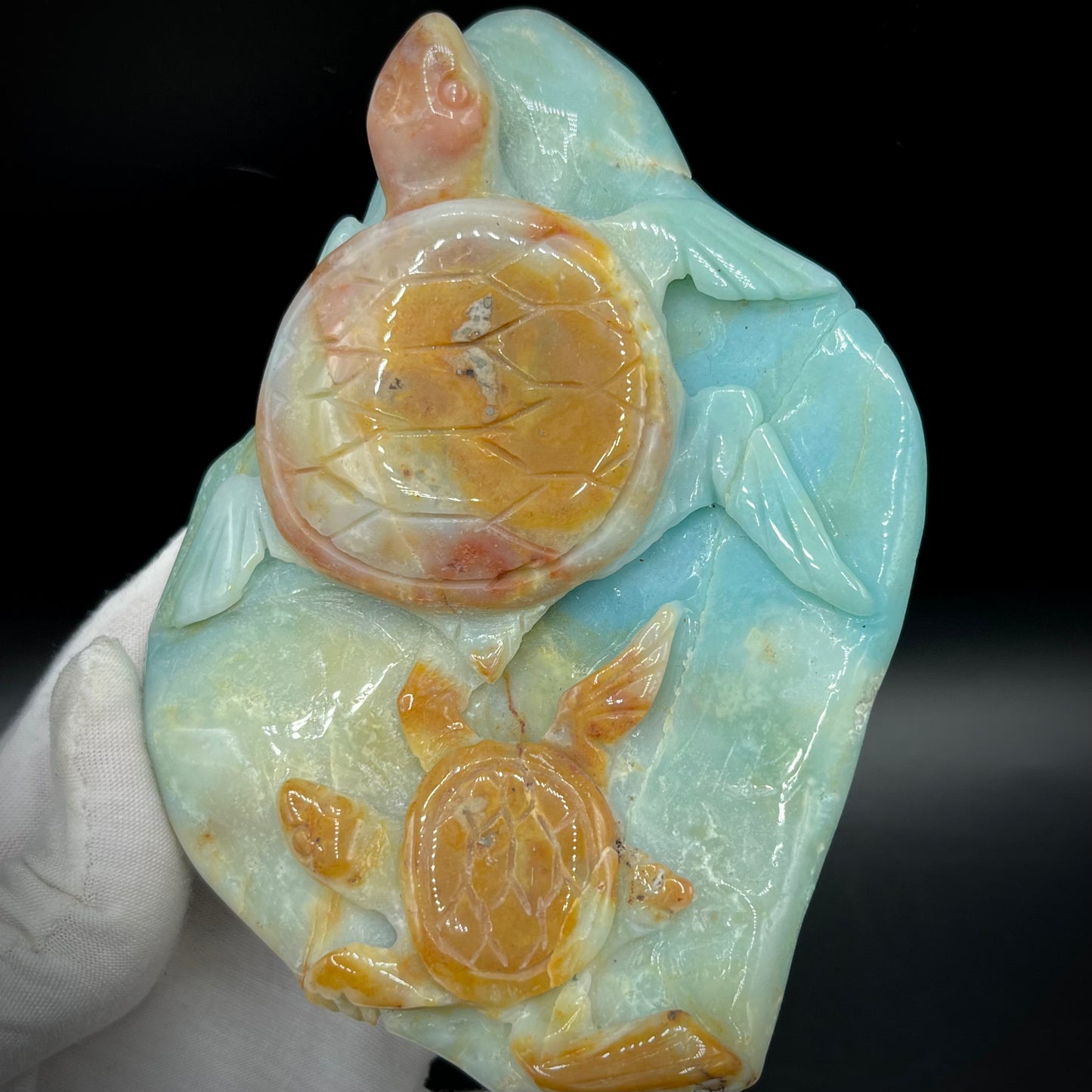 Amazonite Sea Creatures