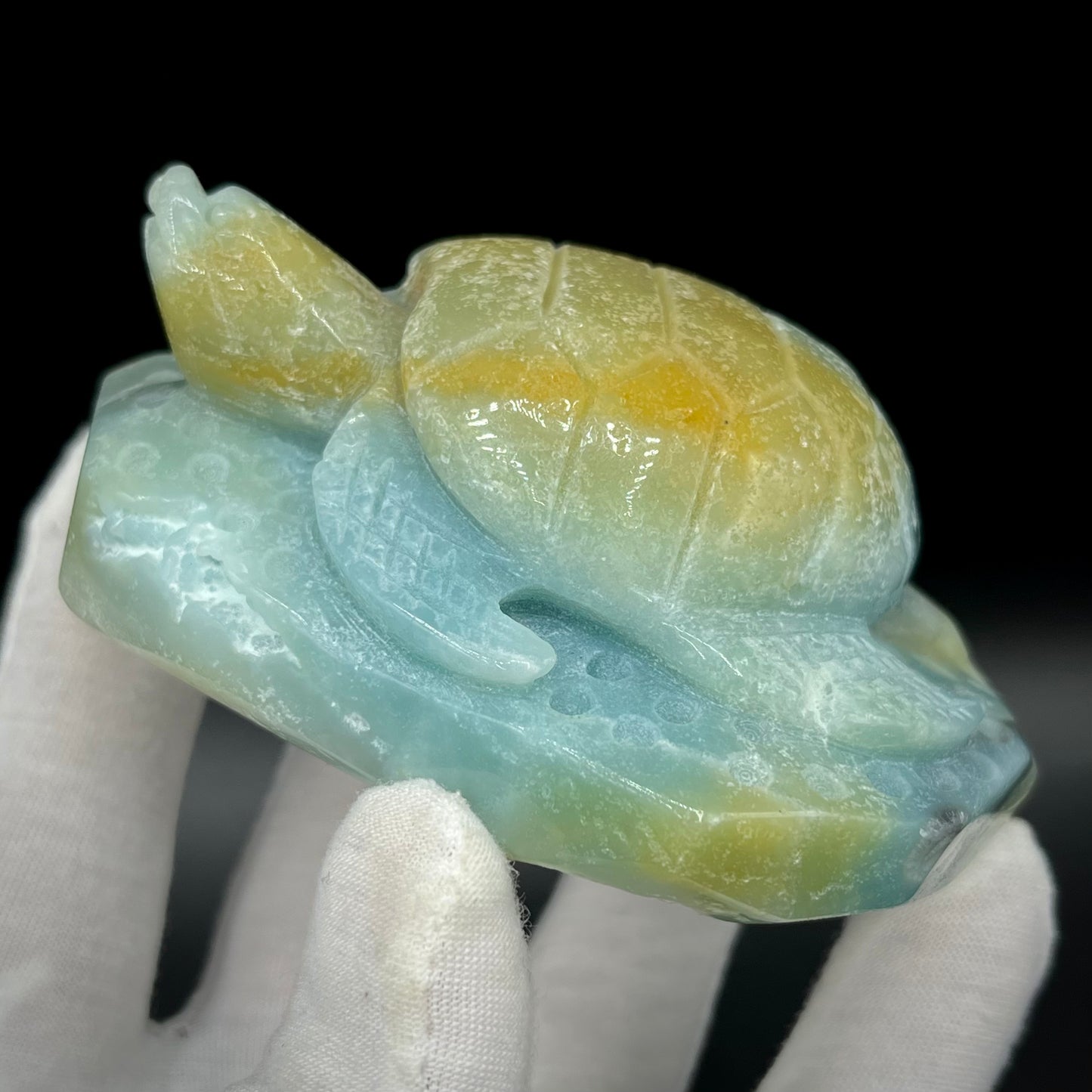 Amazonite Sea Creatures