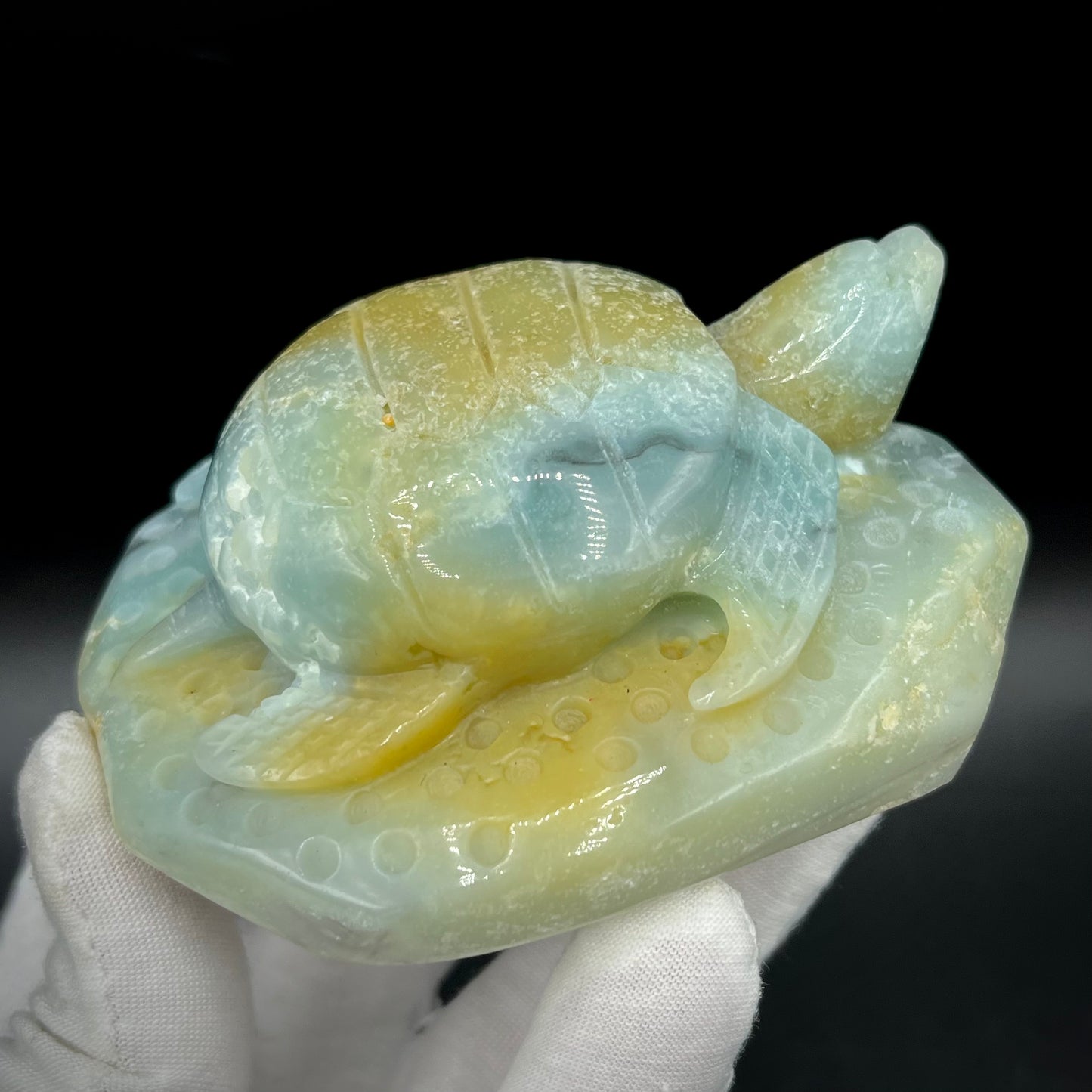 Amazonite Sea Creatures