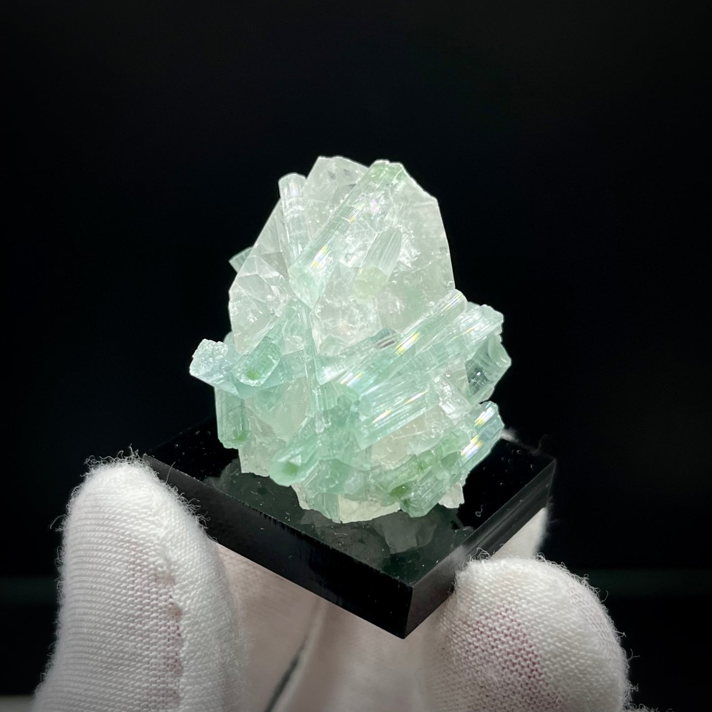 Natural Blue-Green Tourmaline on Quartz - Skardu, Pakistan Specimen