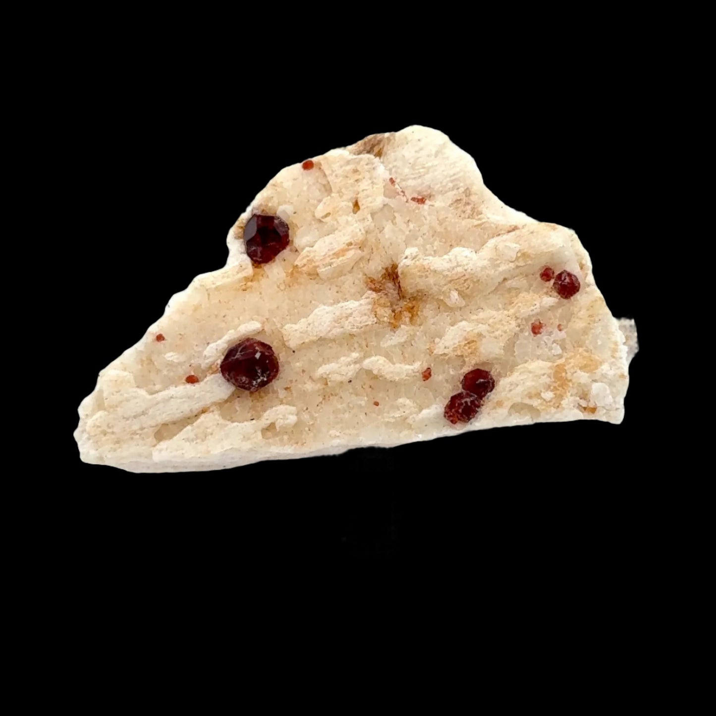 Pakistan Garnet & Black Tourmaline on Matrix - Gilgit Mountain Specimen
