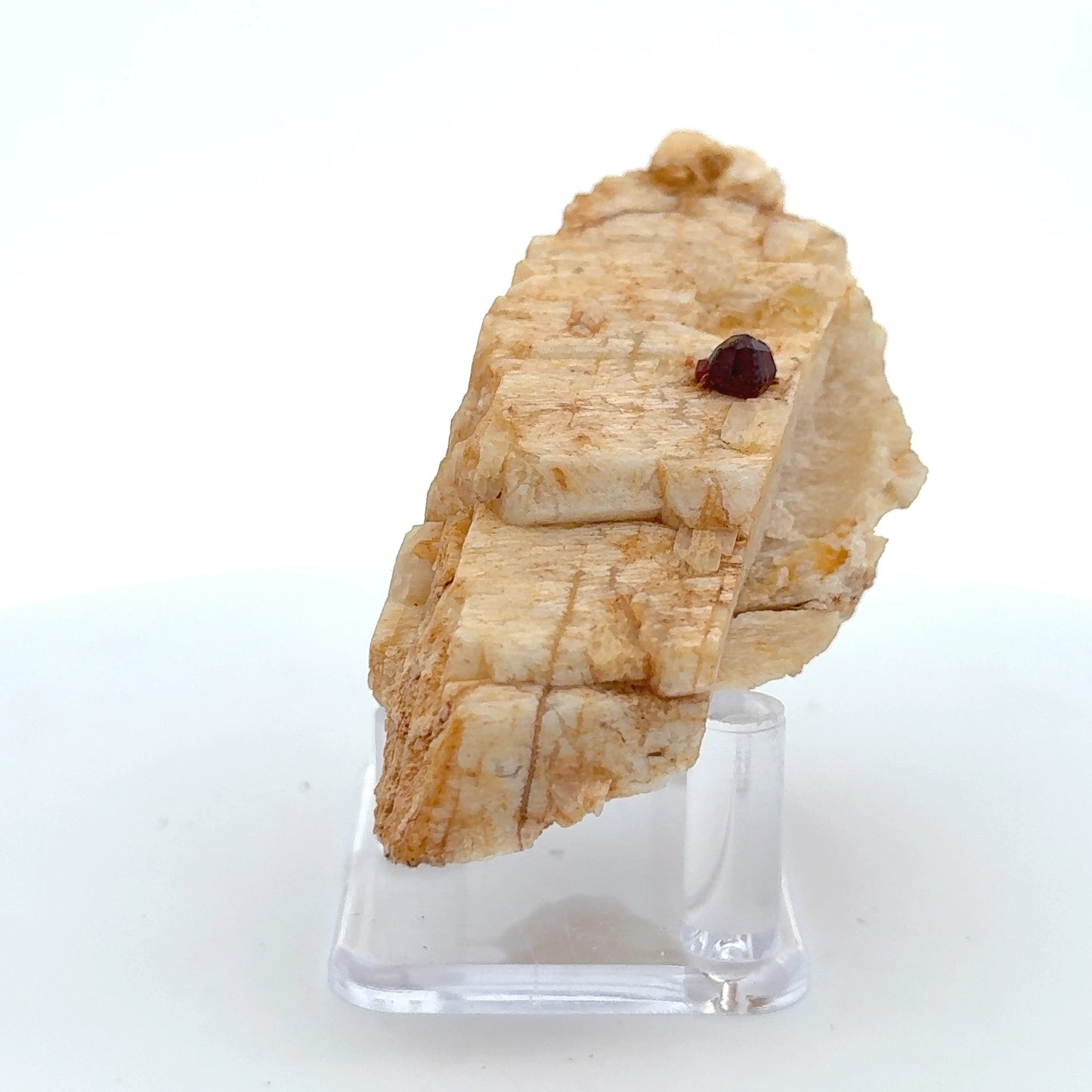 Pakistan Garnet & Black Tourmaline on Matrix - Gilgit Mountain Specimen
