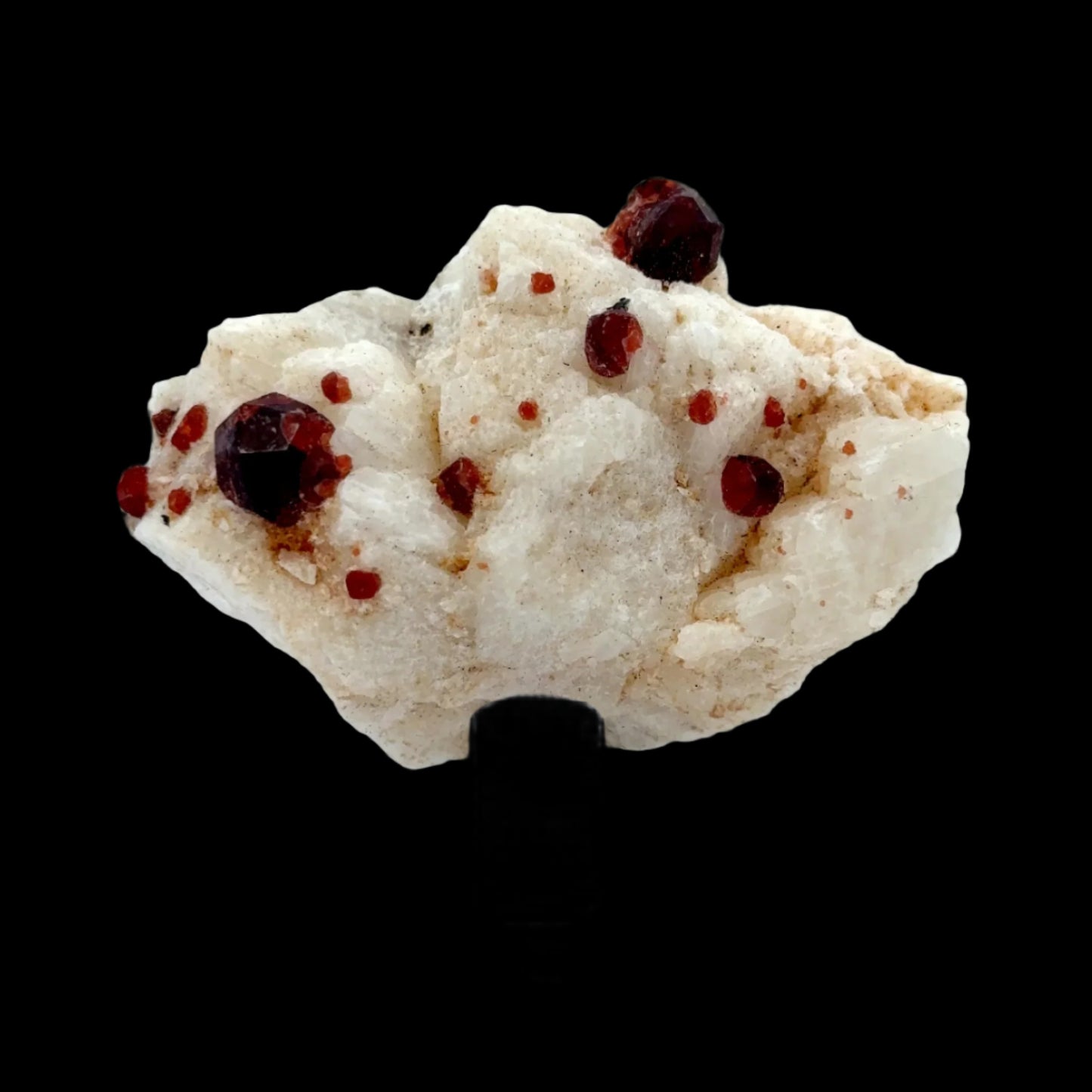 Pakistan Garnet & Black Tourmaline on Matrix - Gilgit Mountain Specimen