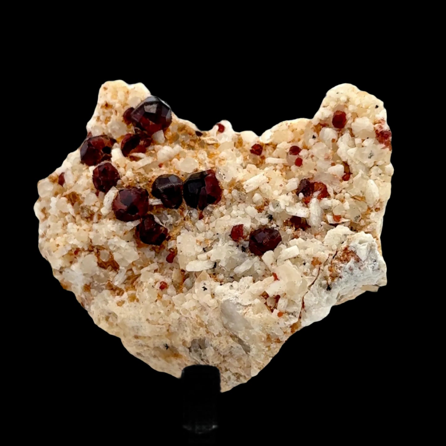 Pakistan Garnet & Black Tourmaline on Matrix - Gilgit Mountain Specimen