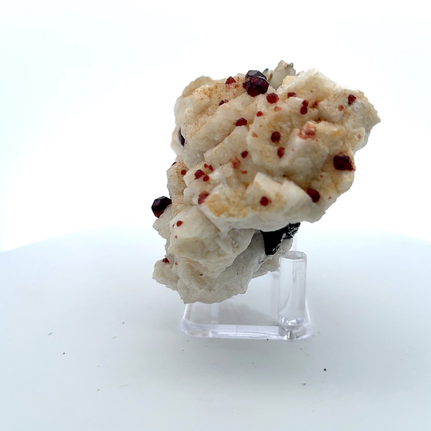 Pakistan Garnet & Black Tourmaline on Matrix - Gilgit Mountain Specimen