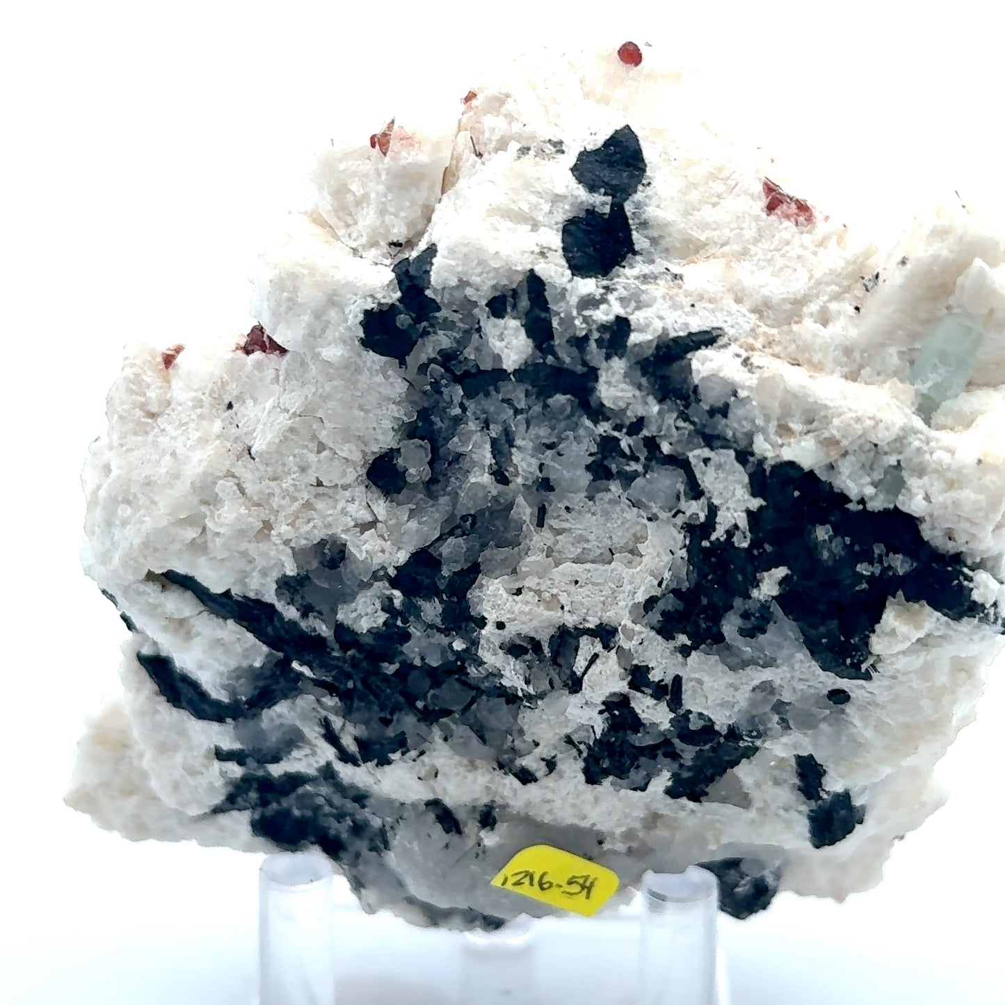 Pakistan Garnet & Black Tourmaline on Matrix - Gilgit Mountain Specimen