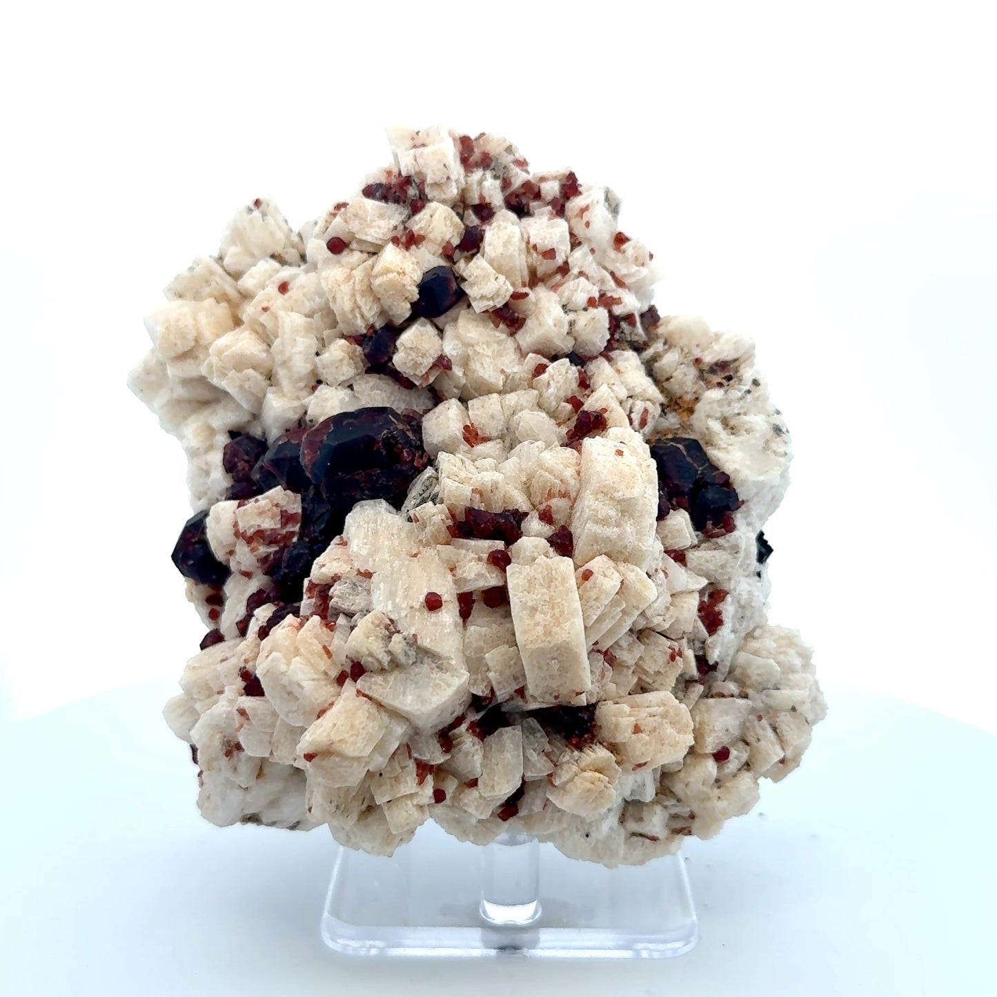 Pakistan Garnet & Black Tourmaline on Matrix - Gilgit Mountain Specimen