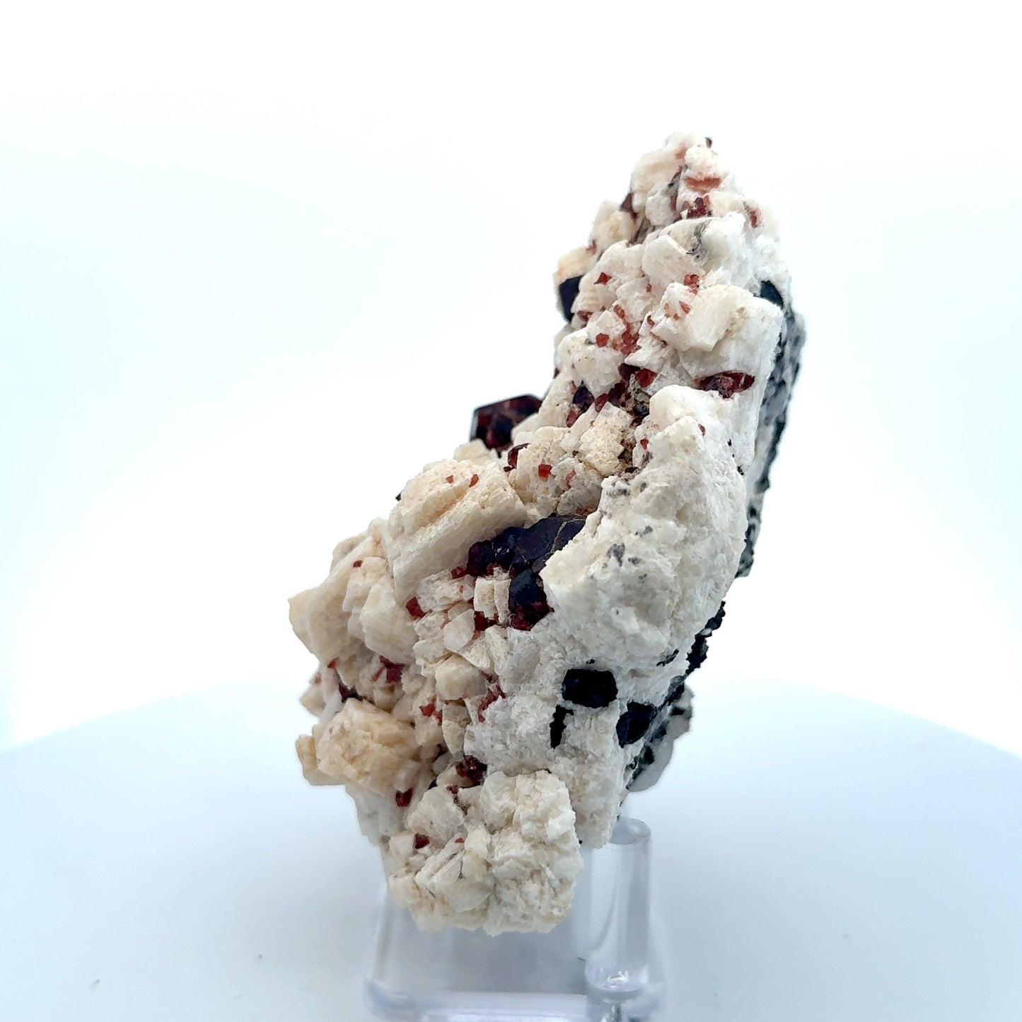 Pakistan Garnet & Black Tourmaline on Matrix - Gilgit Mountain Specimen