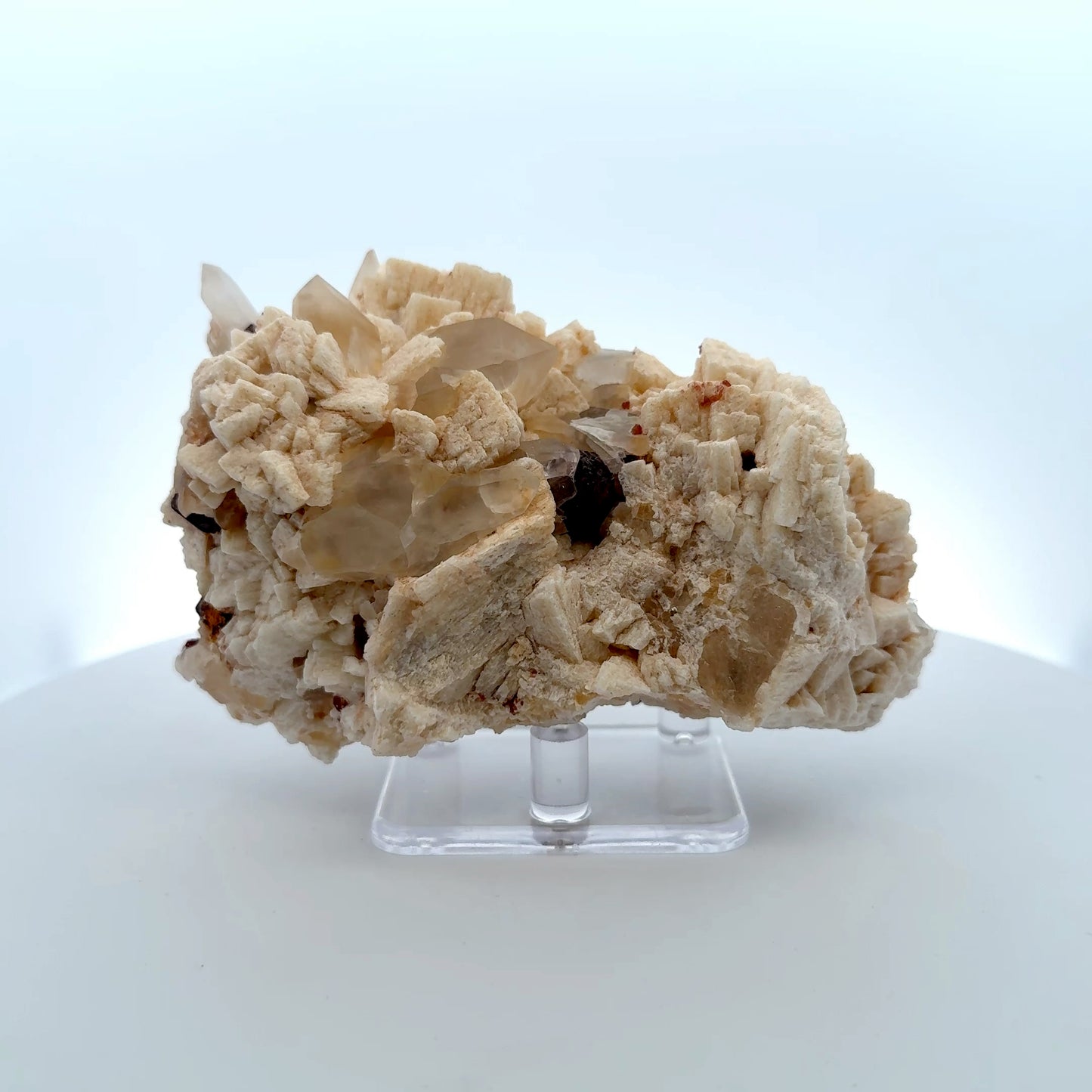 Pakistan Garnet & Black Tourmaline on Matrix - Gilgit Mountain Specimen