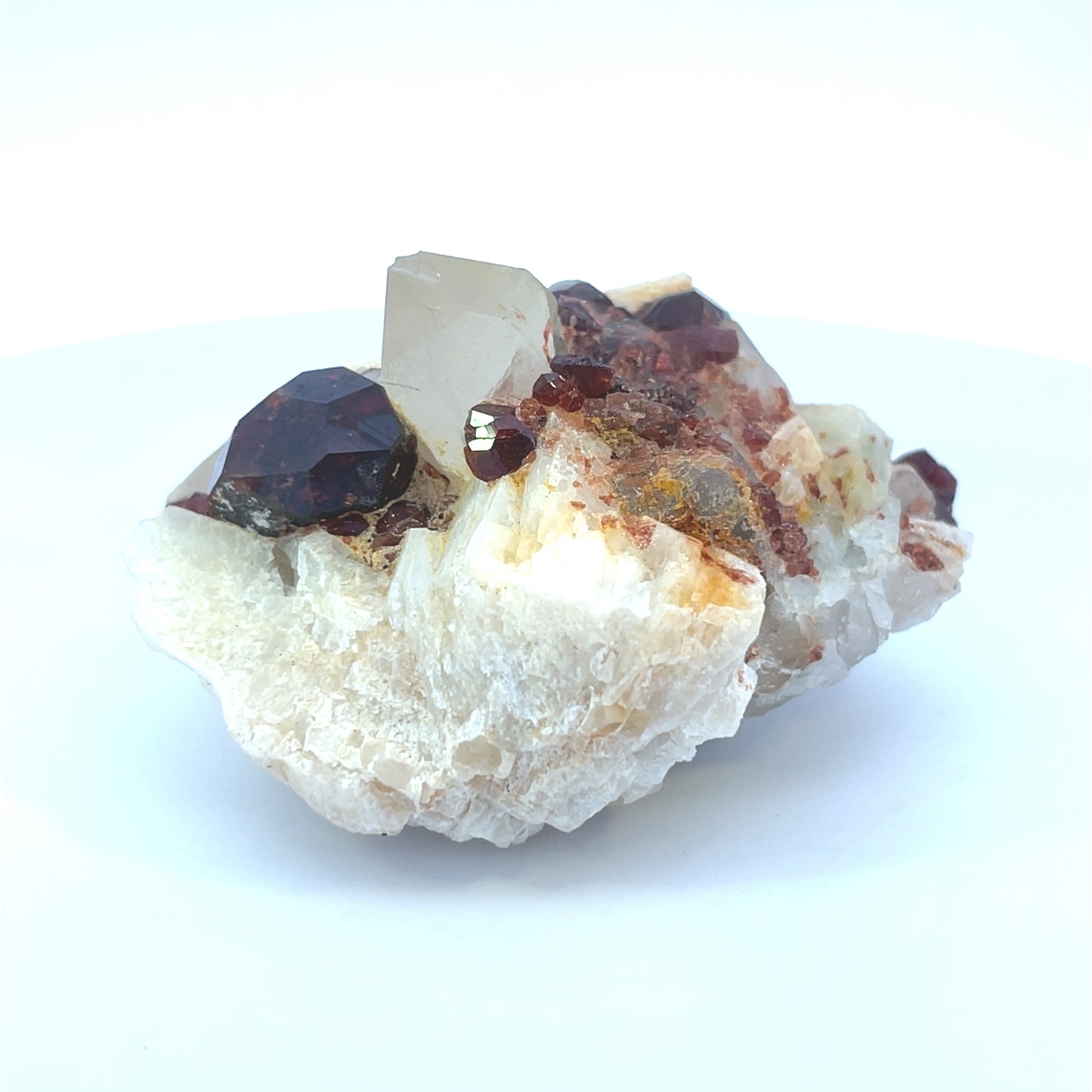 Pakistan Garnet & Black Tourmaline on Matrix - Gilgit Mountain Specimen