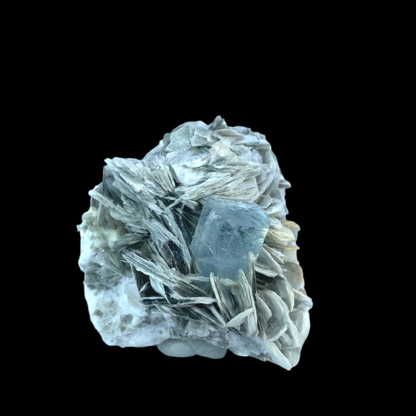 Pakistan Aquamarine Matrix - Shigar & Nagar Valley - Natural Crystal on Albite - 5280 Crystals