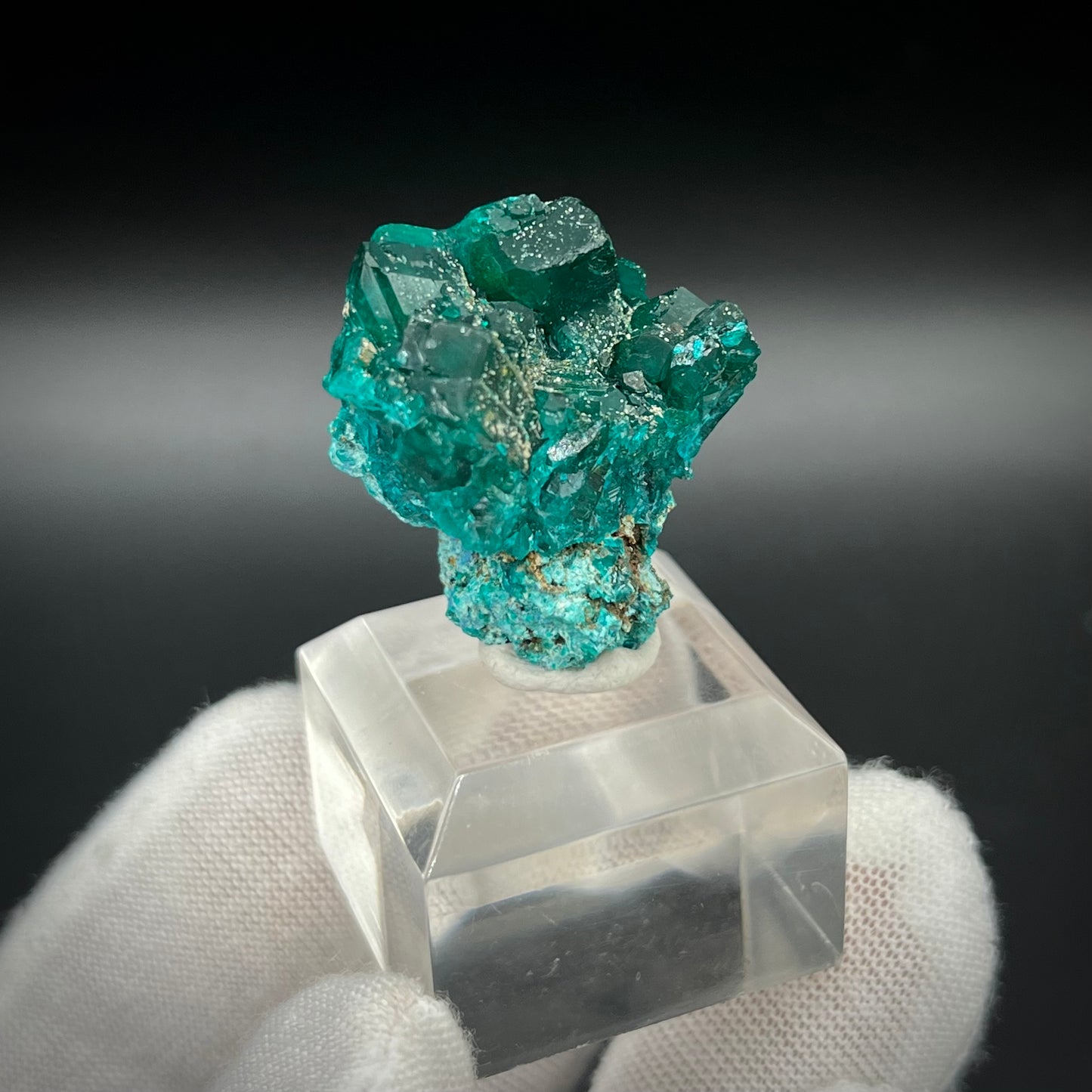 Natural Namibian Dioptase Crystal - Collector-Grade Specimen
