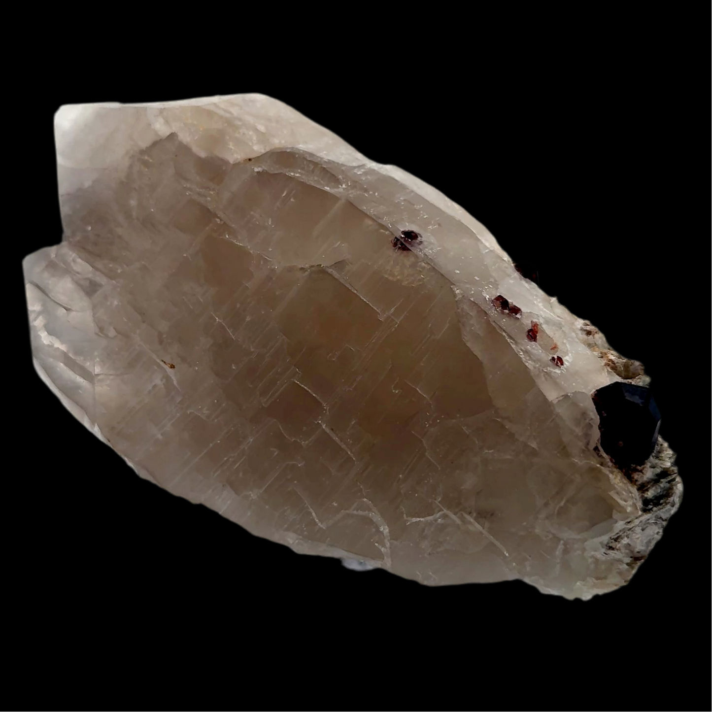 Pakistan Garnet & Black Tourmaline on Matrix - Gilgit Mountain Specimen