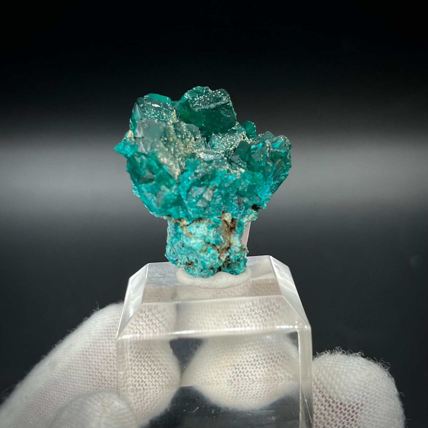 Natural Namibian Dioptase Crystal - Collector-Grade Specimen