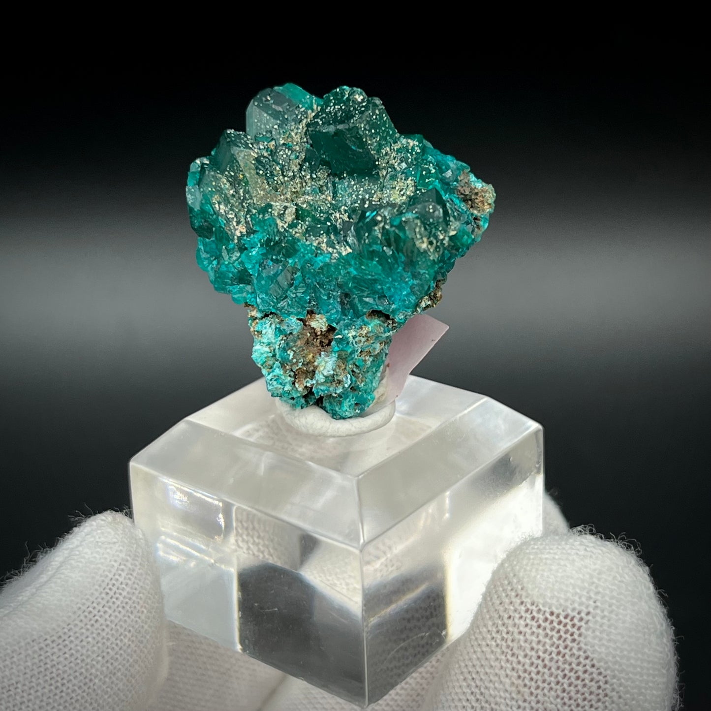 Natural Namibian Dioptase Crystal - Collector-Grade Specimen