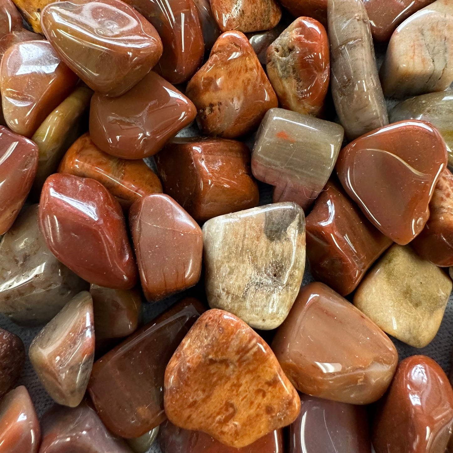 Petrified Wood Tumble
