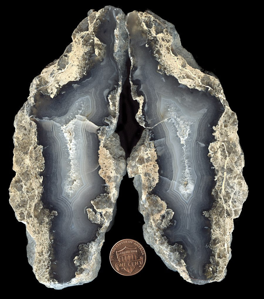 Blue Pacific Agate